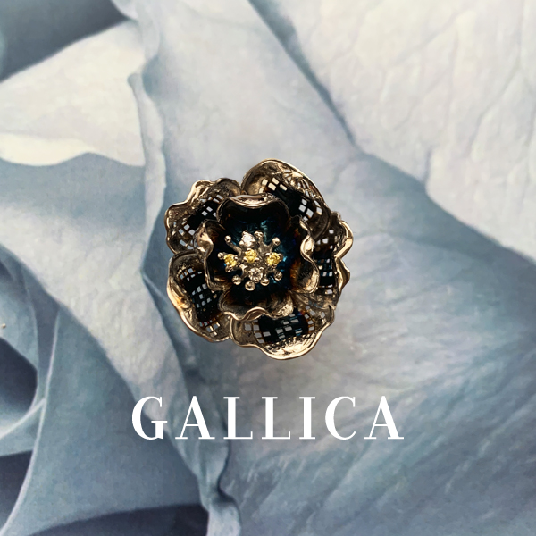 Gallica Collections
