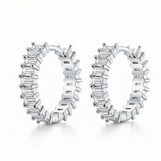 Gift DM5010E Silver Earring