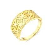 Flower Of Life NEXR1007Y-00 Gümüş Yüzük 1