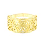 Flower Of Life NEXR1007Y-00 Gümüş Yüzük 2