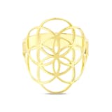 Flower Of Life NEXR1008Y-00 Gümüş Yüzük 2