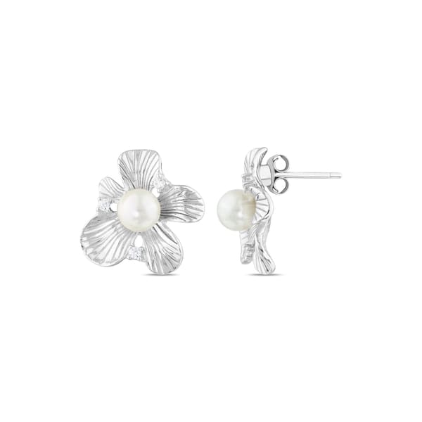 Gift KE33675 Silver Earrings